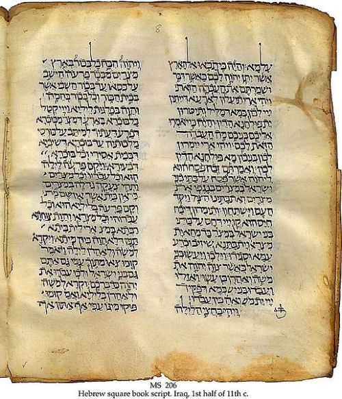 Hebrew Script- 11th C.